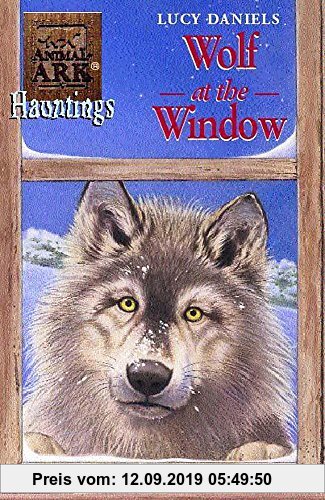 Wolf at the window