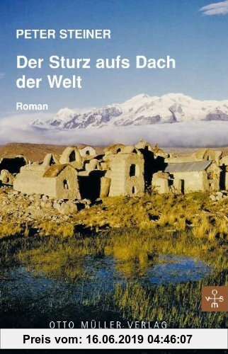 Gebr. - Der Sturz aufs Dach der Welt: Roman