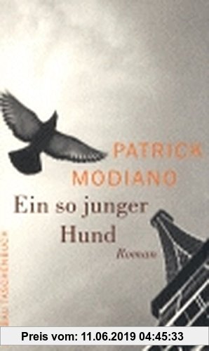 Gebr. - Ein so junger Hund: Roman
