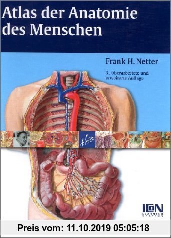 Gebr. - Atlas der Anatomie des Menschen