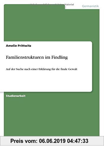 Gebr. - Familienstrukturen im Findling: Auf der Suche nach einer Erklärung für die finale Gewalt
