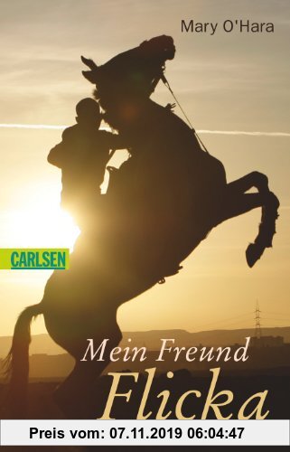 Gebr. - Mein Freund Flicka