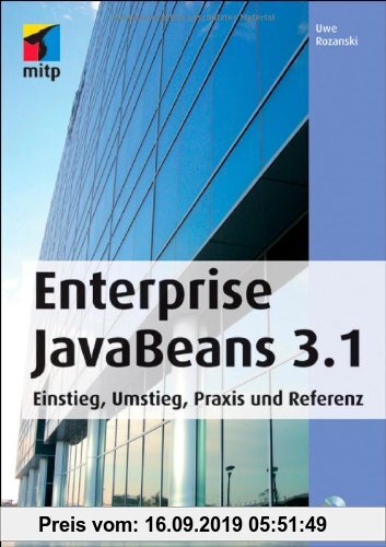 Gebr. - Enterprise JavaBeans 3.1: Einstieg, Umstieg, Praxis und Referenz (mitp Professional)