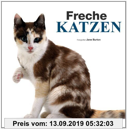 Gebr. - Freche Katzen - Bildband: Süße Kätzchen und freche Katzen, die Samtpfoten festgehalten in vielen schönen Bildern und Texten