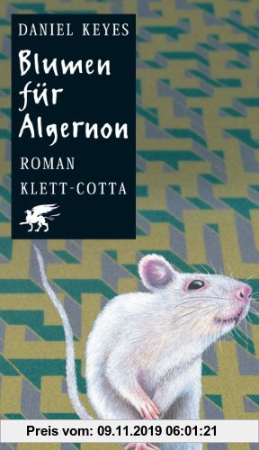 Gebr. - Blumen für Algernon: Roman