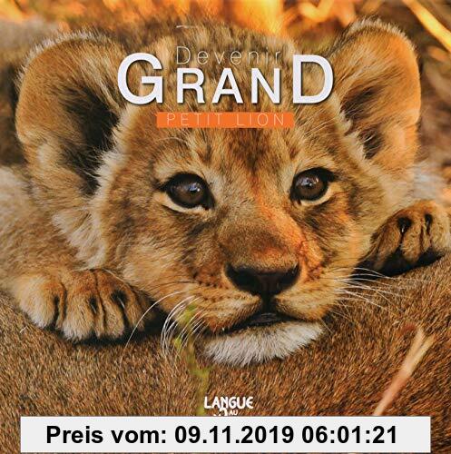 Gebr. - Petit lion