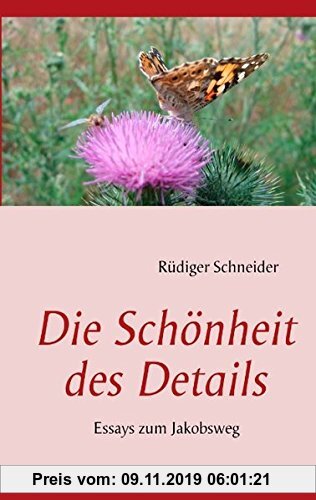 Gebr. - Die Schönheit des Details: Essays zum Jakobsweg
