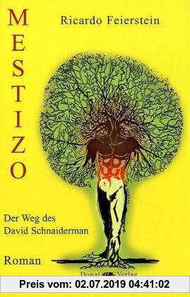Gebr. - Mestizo: Der Weg des David Schnaiderman - Roman