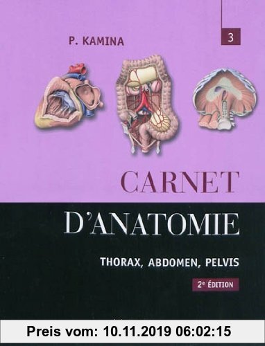 Gebr. - Carnet d'anatomie : Tome 3, Thorax, abdomen, pelvis