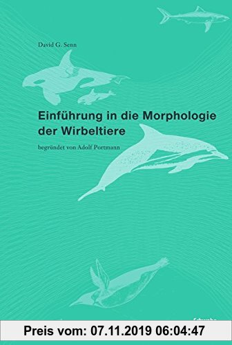Gebr. - Einführung in die Morphologie der Wirbeltiere: begründet von Adolf Portman