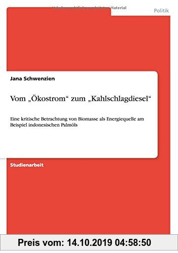 Gebr. - Vom Ökostrom zum Kahlschlagdiesel: Eine kritische Betrachtung von Biomasse als Energiequelle am Beispiel indonesischen Palmöls
