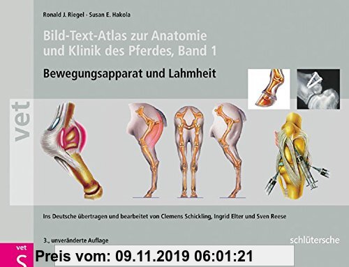 Gebr. - Bild-Text-Atlas zur Anatomie und Klinik des Pferdes Band 1. Bewegungsapparat und Lahmheiten