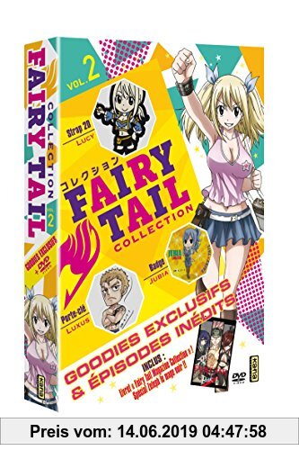 Gebr. - Fairy Tail Collection - Vol. 2
