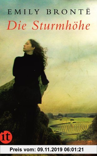 Gebr. - Die Sturmhöhe: Roman (insel taschenbuch)