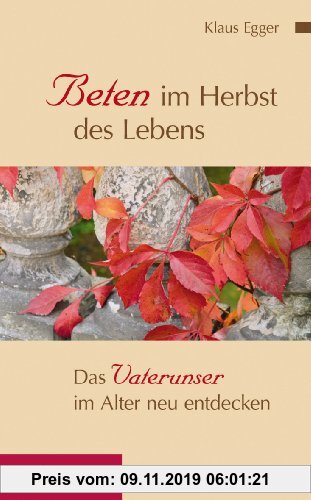 Gebr. - Beten im Herbst des Lebens: Das Vaterunser im Alter neu entdecken