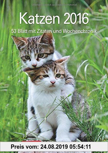 Gebr. - Katzen 2016: Wochenplaner, 53 Blatt mit Zitaten und Wochenchronik