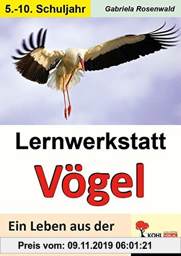 Gebr. - Lernwerkstatt Vögel (SEK): Ein Leben aus der Vogelperspektive