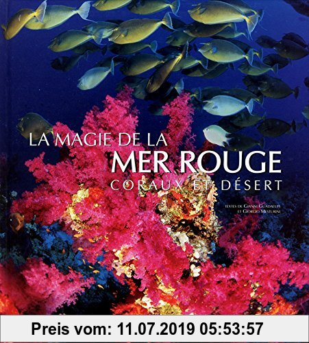 Gebr. - La magie de la mer rouge : Coraux et desert