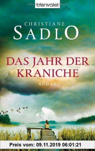Gebr. - Das Jahr der Kraniche: Roman