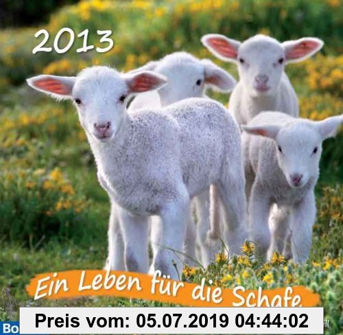 Gebr. - Ein Leben für die Schafe 2015