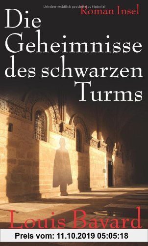 Gebr. - Die Geheimnisse des schwarzen Turms: Ein Roman aus dem Paris des Jahres 1818