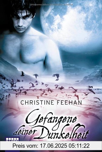 Binding : Taschenbuch, Edition : Aufl. 2010, Label : Bastei Lübbe (Bastei Lübbe Taschenbuch), Publisher : Bastei Lübbe (Bastei Lübbe Taschenbuch), medium : Taschenbuch, numberOfPages : 432, publicationDate : 2010-11-13, authors : Christine Feehan, translators : Ulrike Moreno, languages : german, ISBN : 340418758X