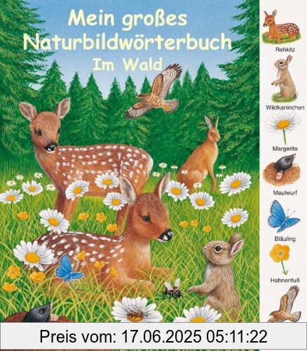 Binding : Gebundene Ausgabe, Label : Arena, Publisher : Arena, medium : Gebundene Ausgabe, numberOfPages : 22, publicationDate : 2006-01-01, languages : german, ISBN : 3401452711