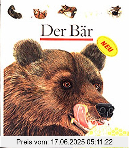 Binding : Gebundene Ausgabe, Edition : 1, Label : Bibliographisches Institut, Publisher : Bibliographisches Institut, NumberOfItems : 1, medium : Gebundene Ausgabe, publicationDate : 2007-03-01, authors : Laura Bour, ISBN : 3411087412