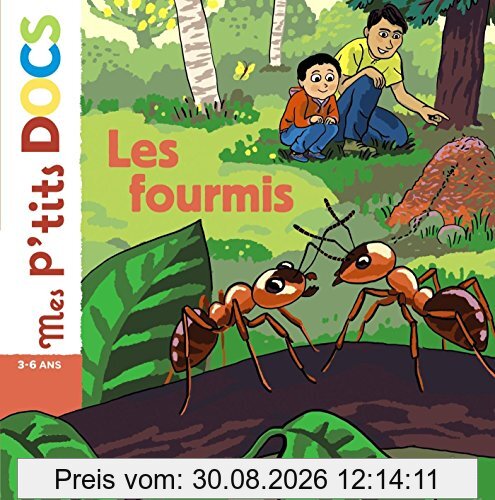 Les fourmis