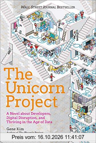 The Unicorn Project: A Novel about Developers, Digital Disruption, and Thriving in the Age of Data