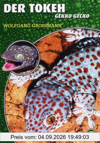 Der Tokeh: Gekko gecko