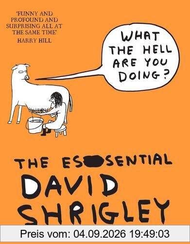 What The Hell Are You Doing?: The Essential David Shrigley