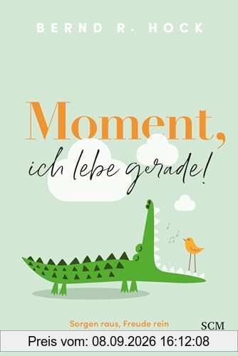 Moment, ich lebe gerade!: Sorgen raus, Freude rein