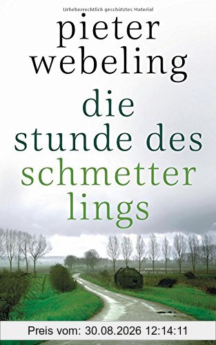 Die Stunde des Schmetterlings: Roman