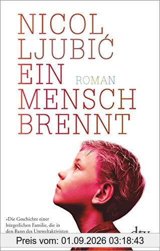 Ein Mensch brennt: Roman