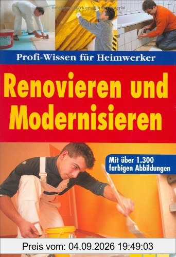 Renovieren und Modernisieren: Profi-Wissen für Heimwerker