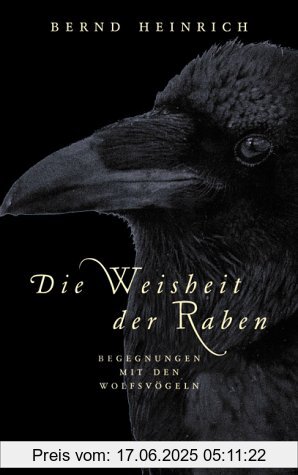 Binding : Gebundene Ausgabe, Label : List, Publisher : List, medium : Gebundene Ausgabe, publicationDate : 2002-01-01, authors : Bernd Heinrich, languages : german, ISBN : 3471794379