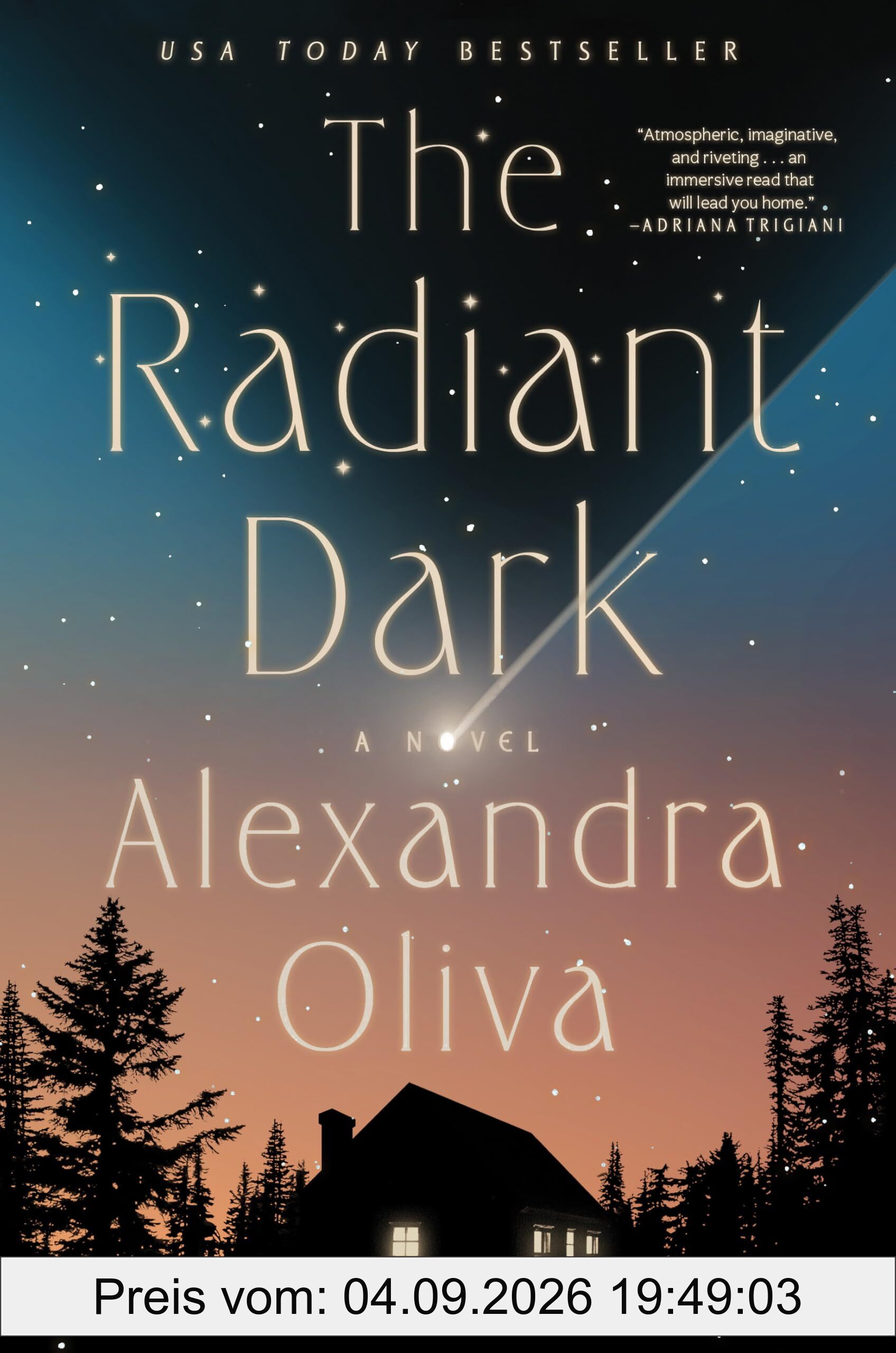 The Radiant Dark: A Novel