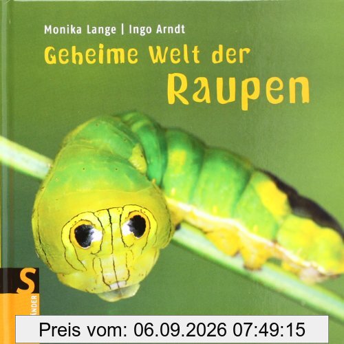 Geheime Welt der Raupen