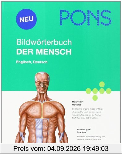 PONS Bildwörterbuch Der Mensch: Englisch, Deutsch