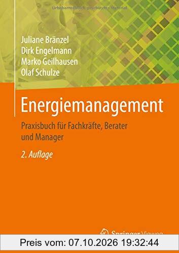 Energiemanagement: Praxisbuch für Fachkräfte, Berater und Manager