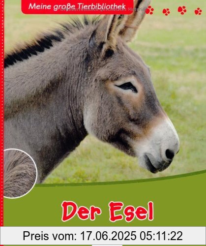 Binding : Gebundene Ausgabe, Edition : 1., Auflage, Label : Thienemann-Esslinger, Publisher : Thienemann-Esslinger, medium : Gebundene Ausgabe, numberOfPages : 32, publicationDate : 2010-07-05, authors : Valérie Tracqui, languages : german, ISBN : 3480227147