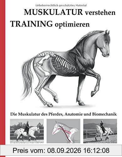Muskulatur verstehen - Training optimieren: Die Muskulatur des Pferdes, Anatomie und Biomechanik