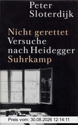 Nicht gerettet: Versuche nach Heidegger