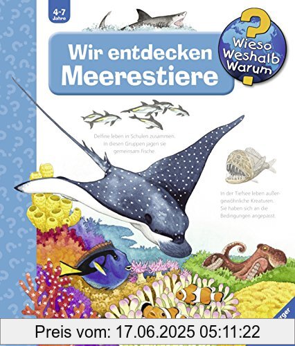 Binding : Spiralbindung, Edition : 1, Label : Ravensburger Buchverlag, Publisher : Ravensburger Buchverlag, medium : Sonstige Einbände, numberOfPages : 16, publicationDate : 2015-06-24, authors : Andrea Erne, languages : german, ISBN : 3473326437