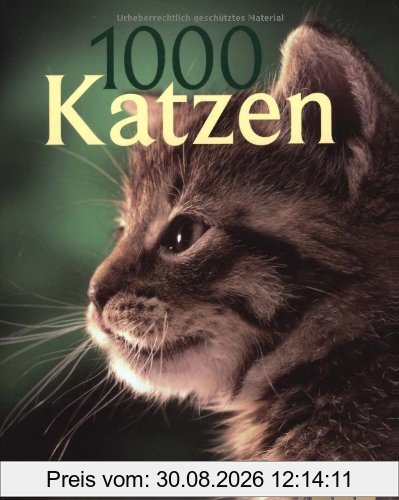 1000 Katzen