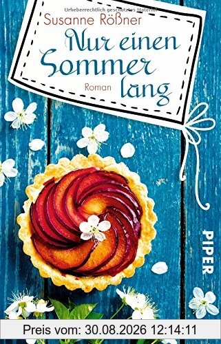 Nur einen Sommer lang: Roman