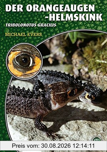 Der Orangeaugen-Helmskink: Tribolonotus gracilis