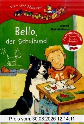 Bello, der Schulhund