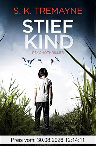 Stiefkind: Psychothriller